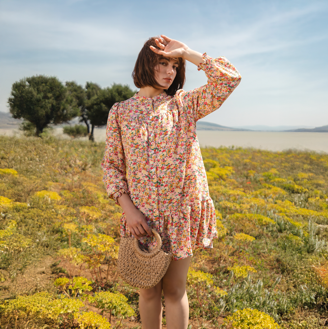 Stella Dress