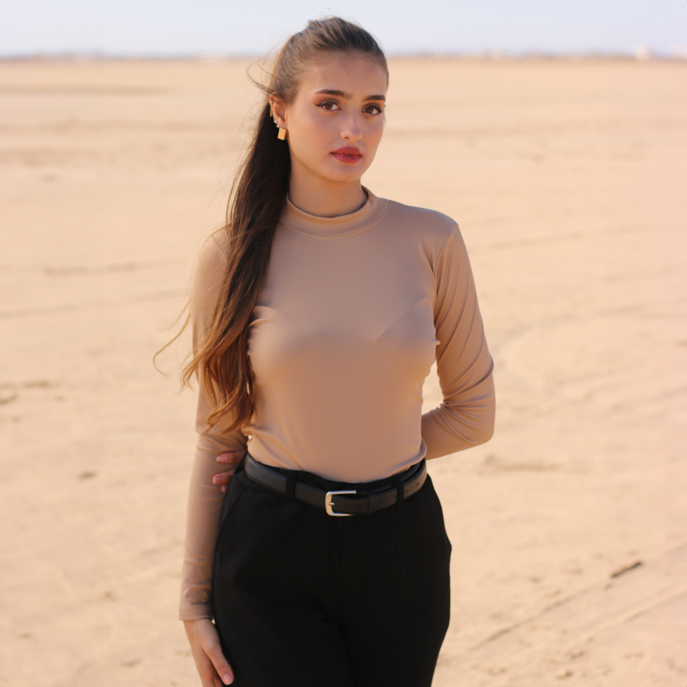 Pull basique manches longues