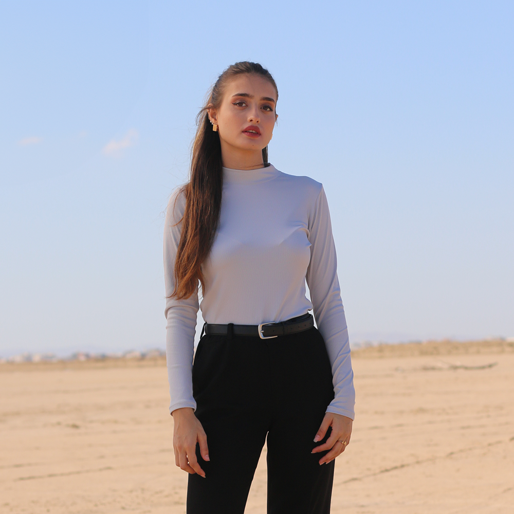 Pull basique manches longues