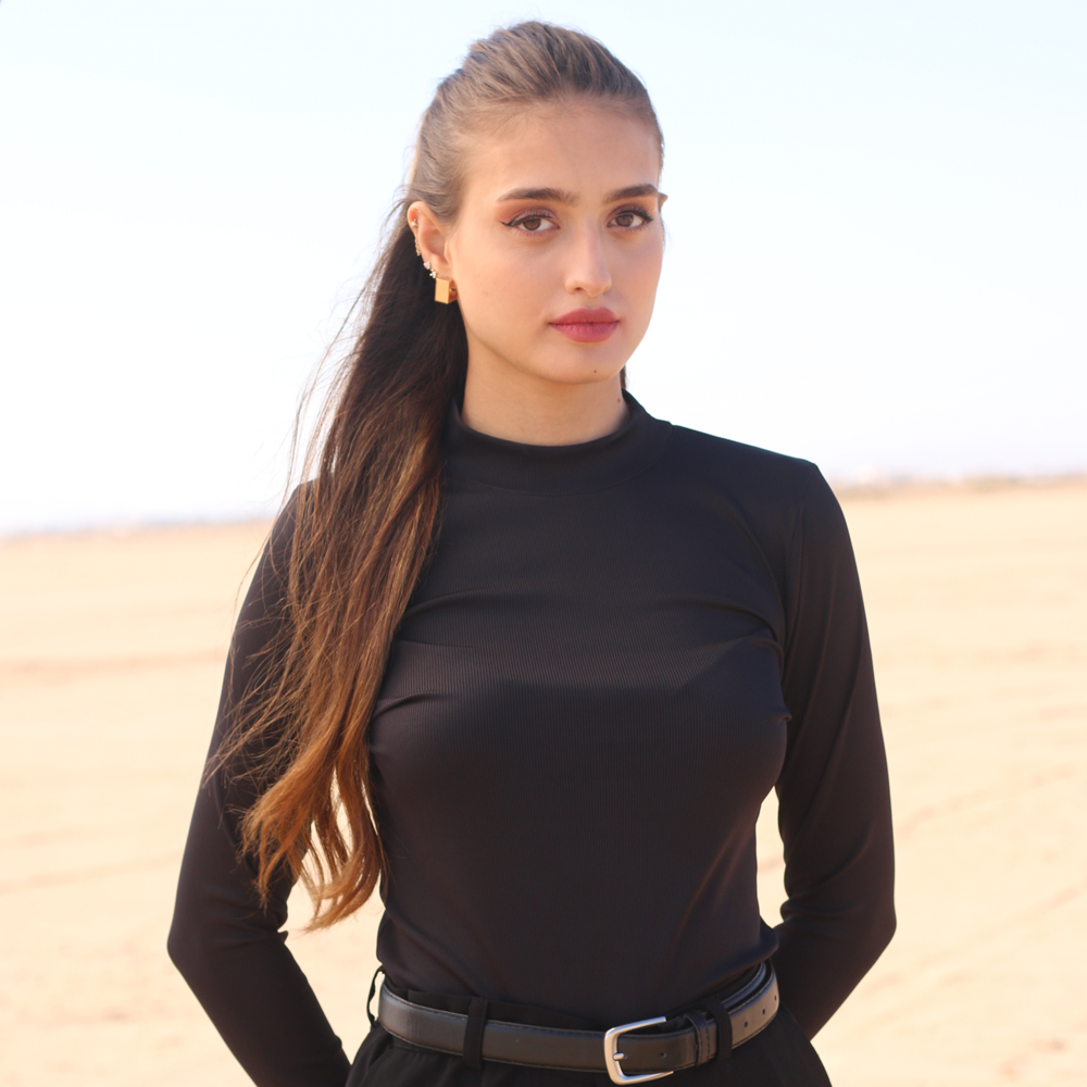 Pull basique manches longues
