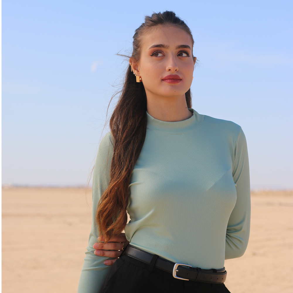Pull basique manches longues